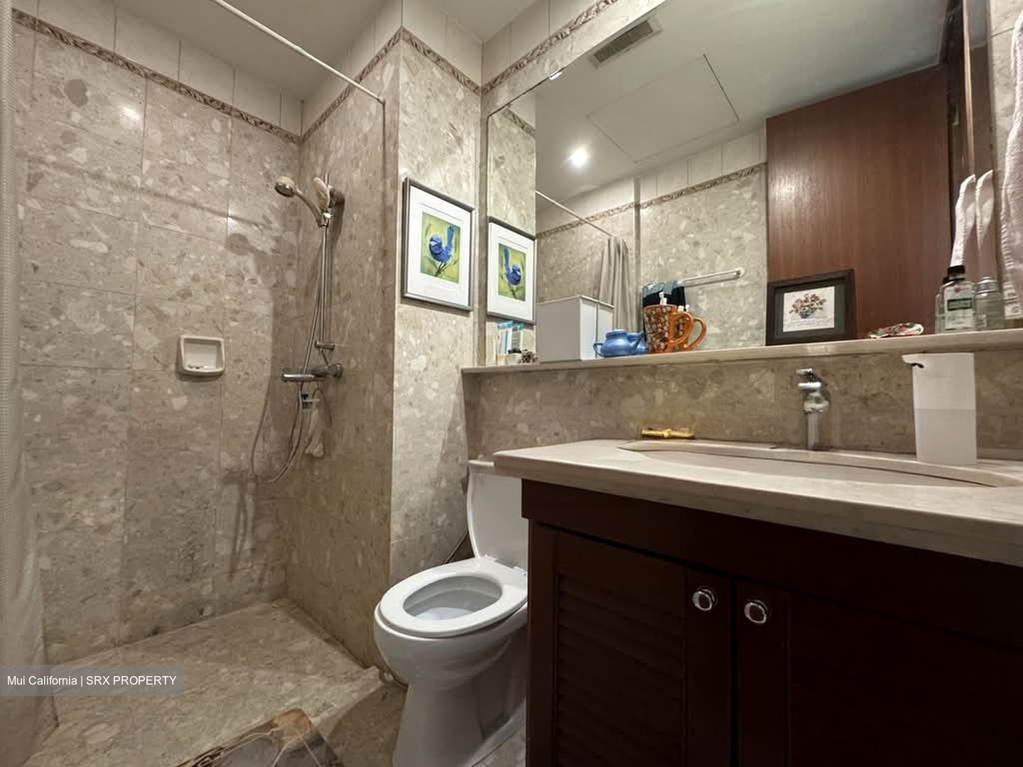 Bukit Timah Road (D10), Condominium #577685141